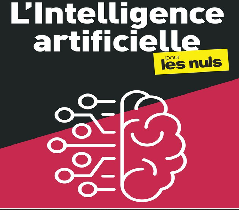 Couverture de IA pour les nuls en 50 Notions