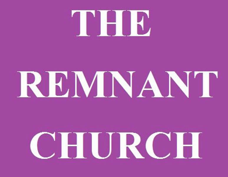 Couverture de The Remnant church