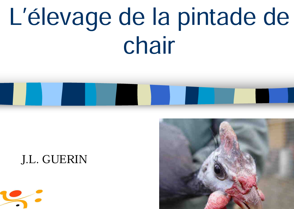 Couverture de Elevage de Pintades